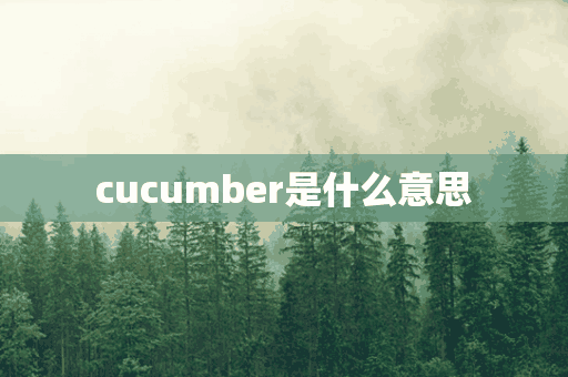 cucumber是什么意思